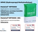 Hydroxypropyl Methyl Cellulose - HPMC